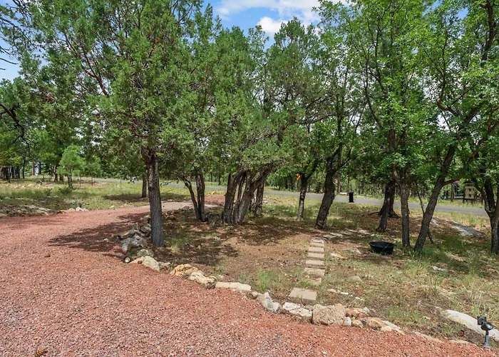 Secluded Mountain With Forest Views *